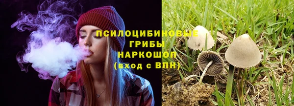 ешки Богородицк
