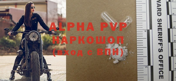 прущие грибы Тында