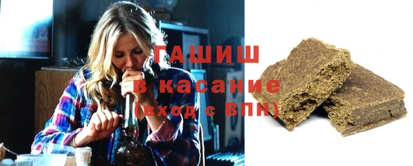 прущие грибы Тында